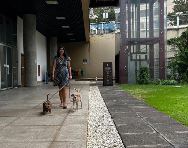 Pet friendly: galerias de arte de Goiânia recebem cães e gatos